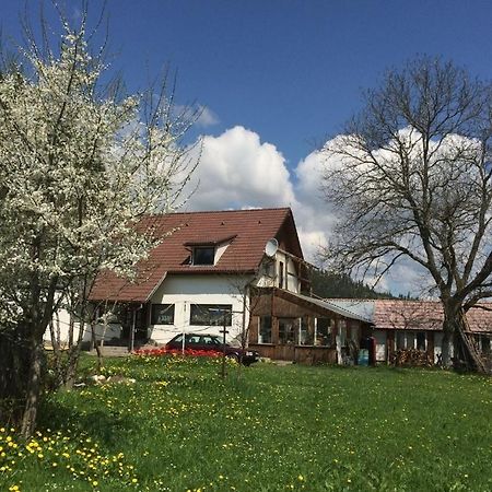 Karacsony Guest House Lunca de Sus Bagian luar foto