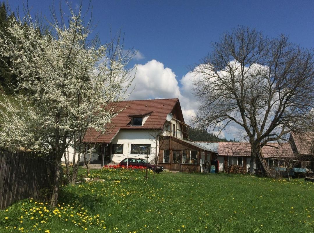 Karacsony Guest House Lunca de Sus Bagian luar foto